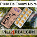 Black Ant Pill 41